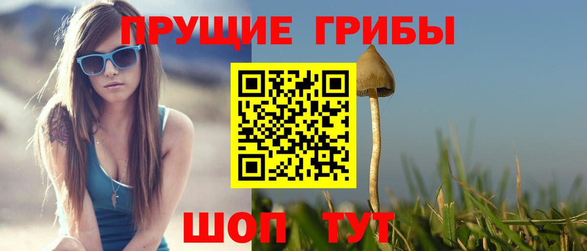 Галлюциногенные грибы Psilocybe Избербаш